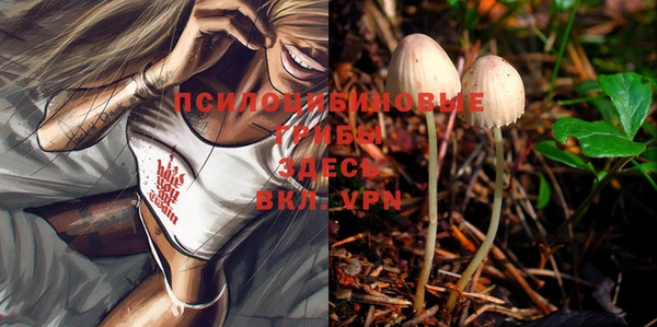 дмт Нея