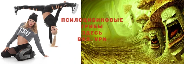 дмт Нея