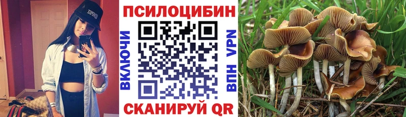 наркотики  Пустошка  shop как зайти  Псилоцибиновые грибы MAGIC MUSHROOMS 